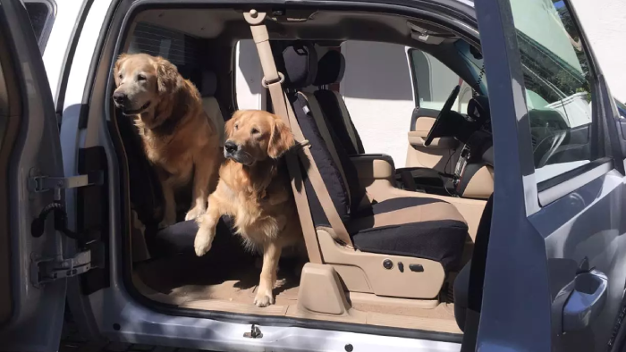 shearcomfort-s-dog-seat-covers-the-best-choice-for-truck-owners.png shearcomfort-s-dog-seat-covers-the-best-choice-for-truck-owners.png